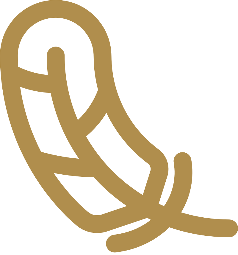 icoon-lichter-van-gewicht